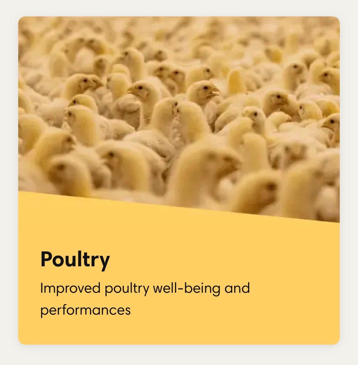 HATO equipment media